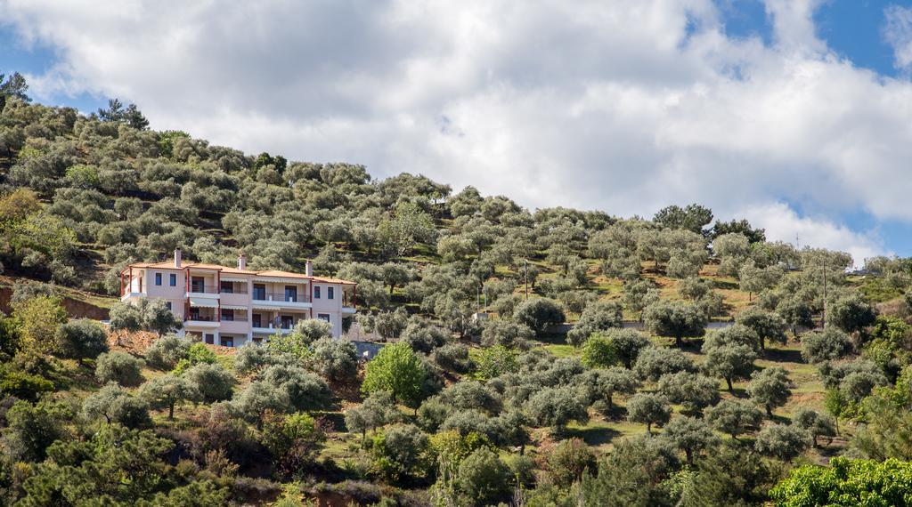 Aphrodite Villas Κοίνυρα Εξωτερικό φωτογραφία